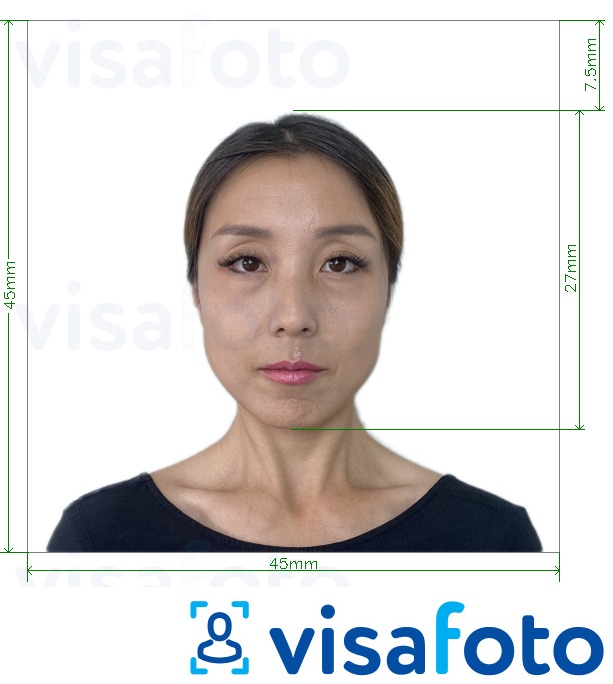 Halimbawa ng larawan para sa Japan Visa 45x45mm, ulo 27 mm na may eksaktong sukat na detalye